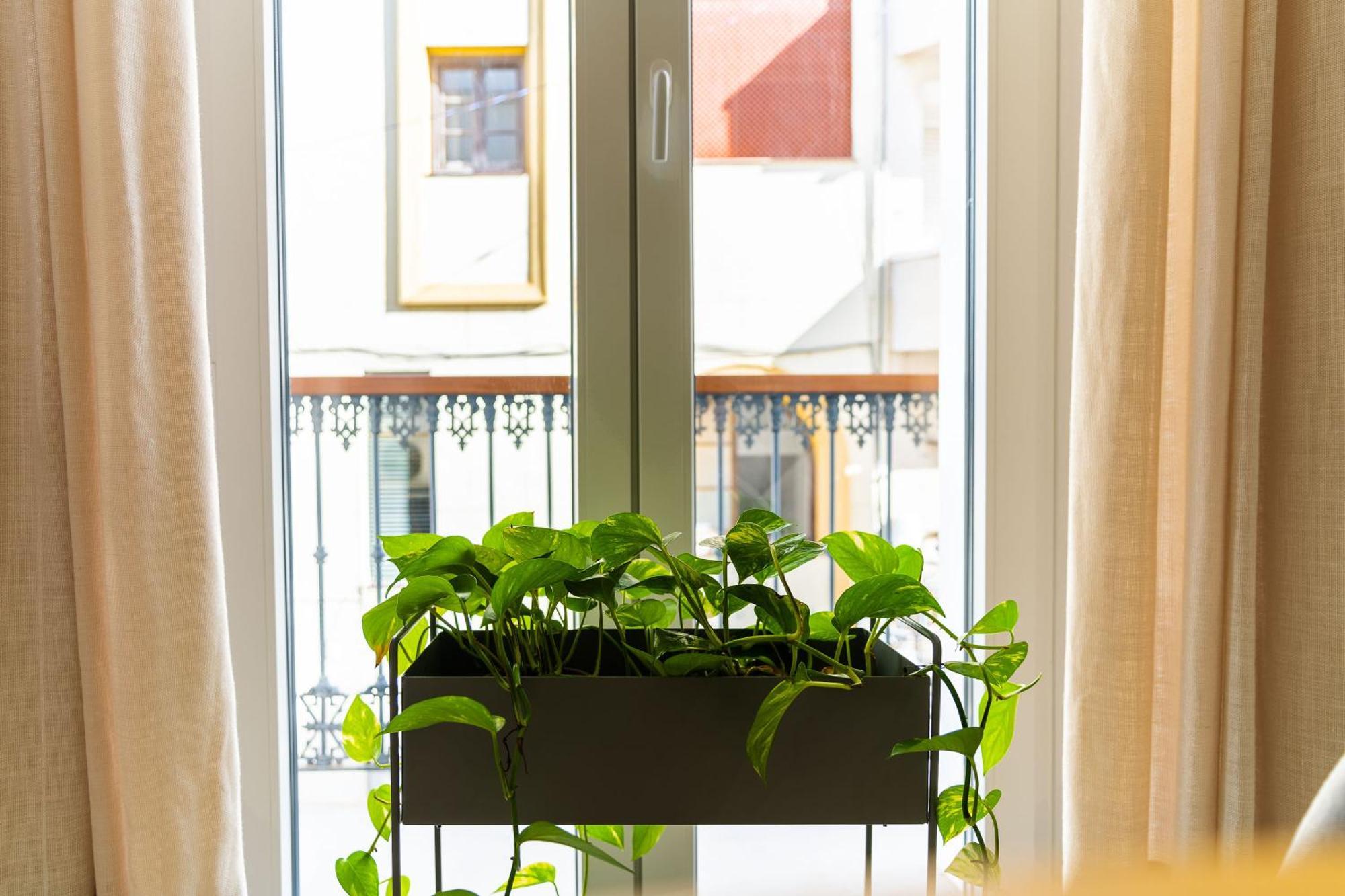Casa De La Vega Suites Chiclana de la Frontera Kültér fotó